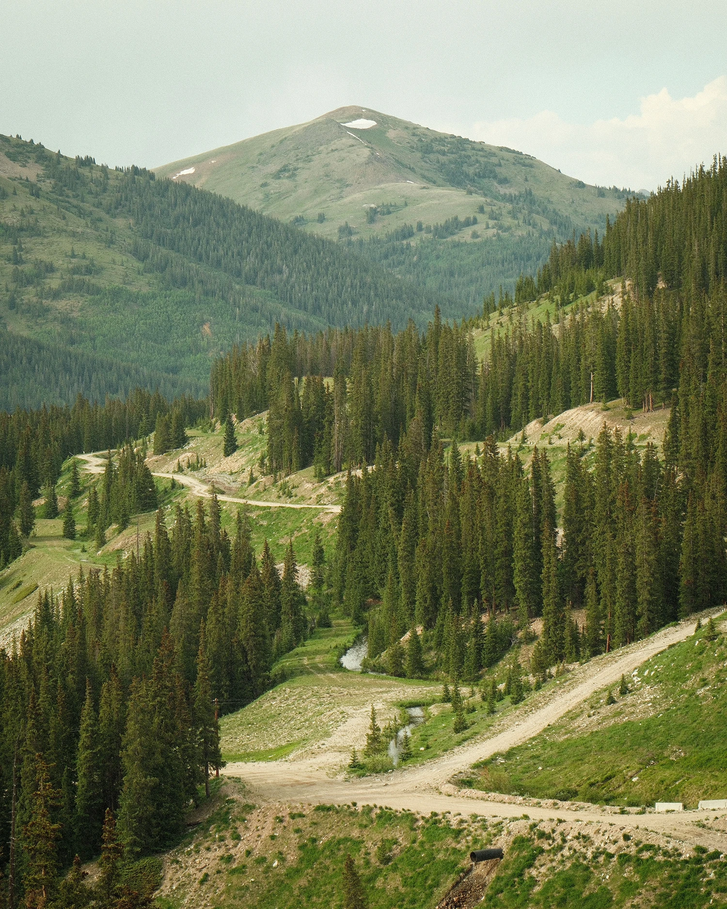 A pine-covered Colorado mountainside with a winding dirt road below a snow-dotted peak