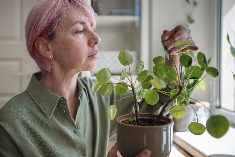 A woman with short pink hair gently touches the leaves of a potted plant by a sunlit window
